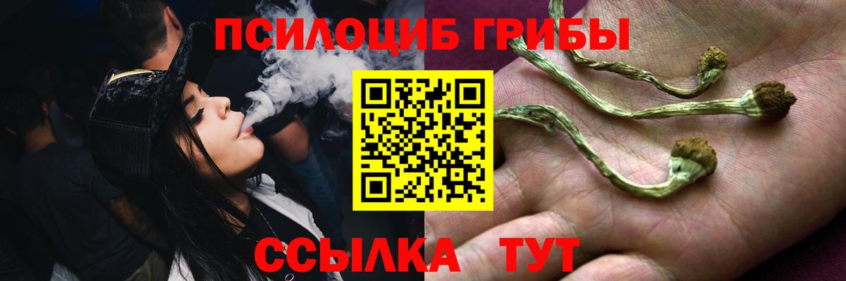 Галлюциногенные грибы Psilocybine cubensis  купить закладку  Красногорск  Вход с VPN 